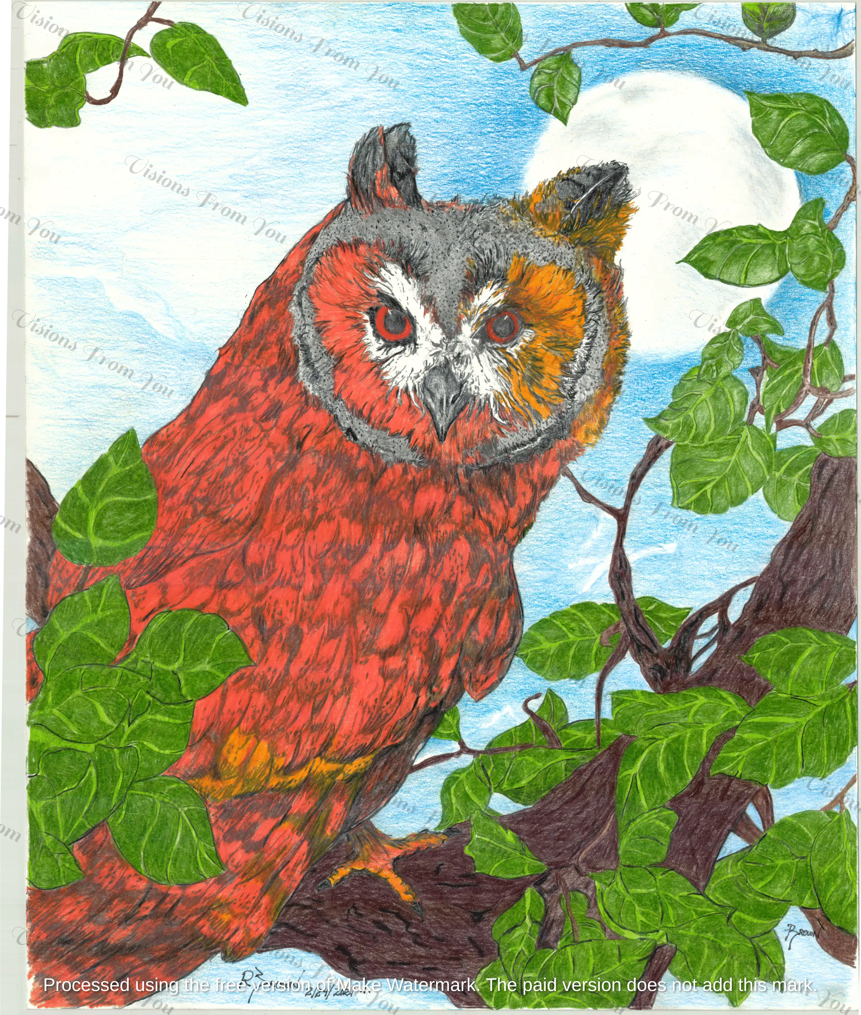 Blue Moon Owl